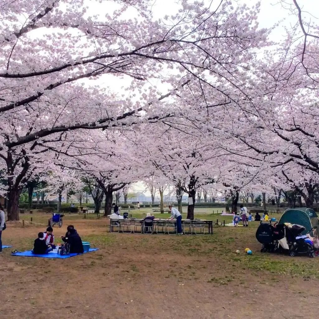 🗼 스카이워드 아사히 이미지 9